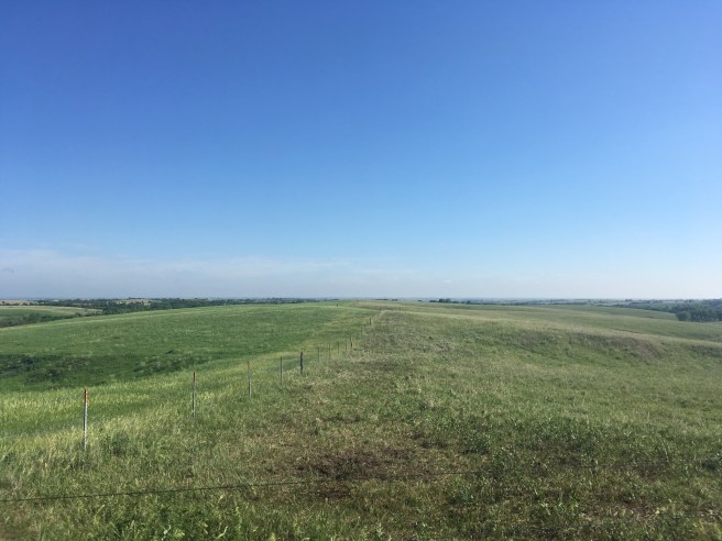 Willa Cather Memorial Prairie #1
